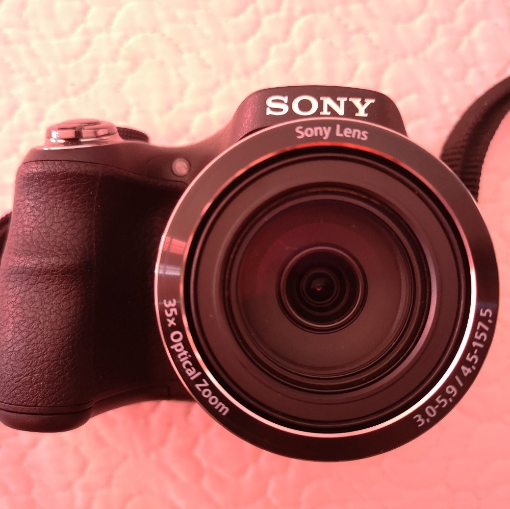 Sony Cyber-shot DSC-H300 20.1 MP Digital Camera -